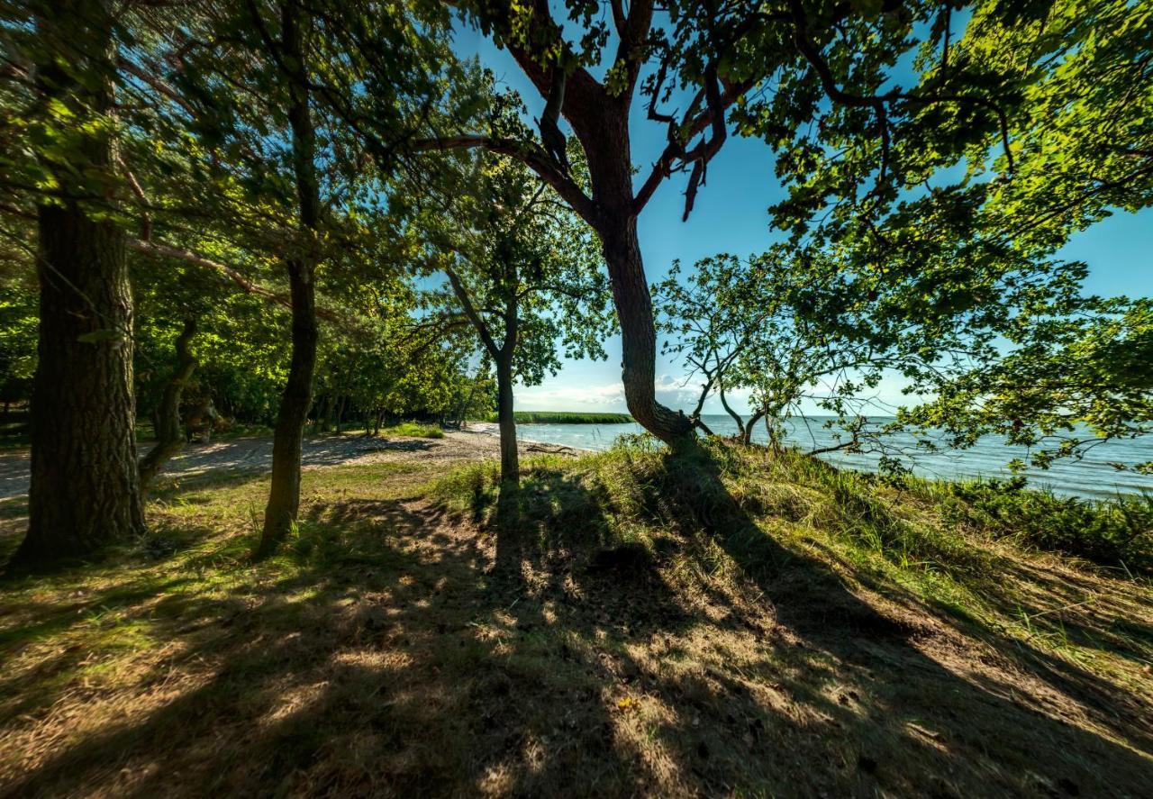 Traumhaff Bootsmanns Domizil Kamin, Sauna, Boot In Rieth Am * Luckow (Mecklenburg-Vorpommern)